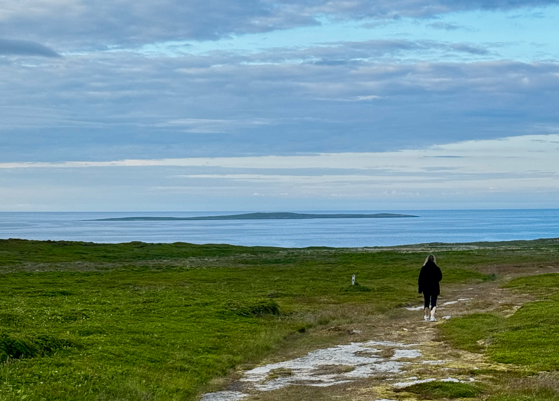 Lille Ekkerøy fugletur